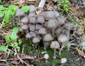 DSCN3711.JPG