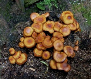 DSCN3793.JPG