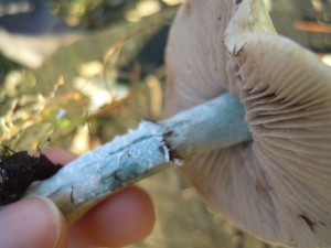 DSCN4157.JPG