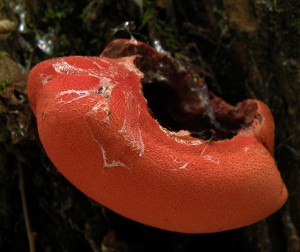 DSCN4798.JPG