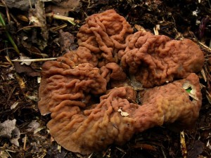 DSCN4814.jpg
