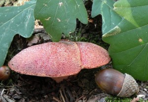 DSCN4924.JPG