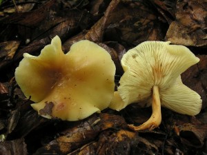 DSCN5205.jpg
