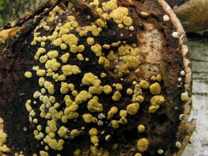 DSCN5209.jpg