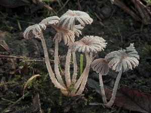 DSCN6666-01.jpg