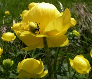 DSCN6708.JPG