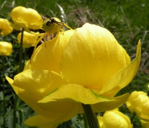 DSCN6715.JPG