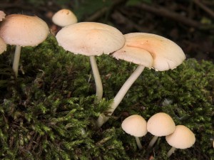 DSCN7500-01.jpg