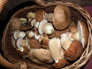 DSCN8061.JPG