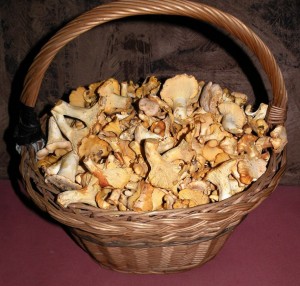 DSCN8275.JPG