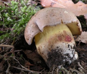 DSCN9210.JPG