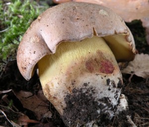 DSCN9213.JPG