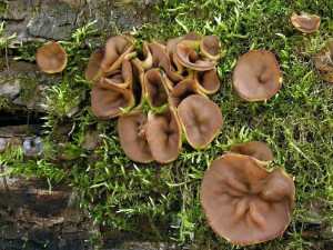 DSCN9354.jpg