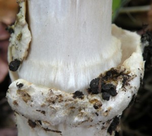 DSCN9848.JPG