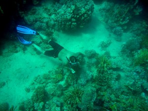 Egypt 2012 184.jpg