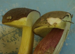 foto_4.jpg