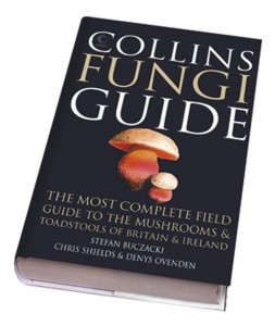 funghi-guidemain.jpg
