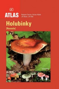 holubinky.jpg