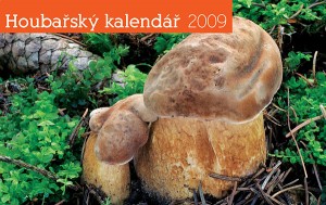 houbarsky09-tit-spruhem.jpg