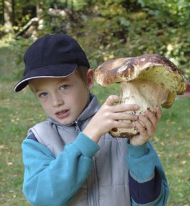 hribecek.jpg