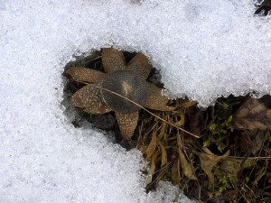 hvzdk170219.jpg