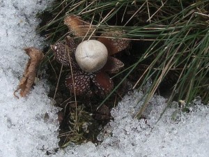 hvzdk 170210 b.jpg