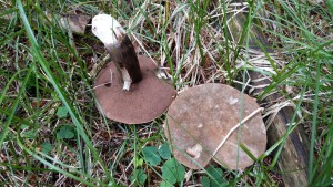 IMAG0346.jpg