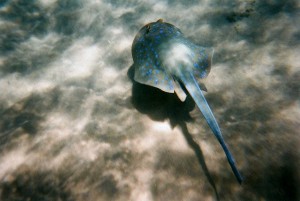 img067.jpg