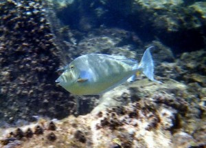 img076.jpg