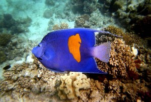 img079.jpg