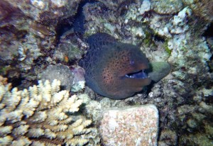 img092.jpg