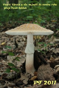 IMG4623 (3).jpg
