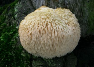 IMG6.JPG