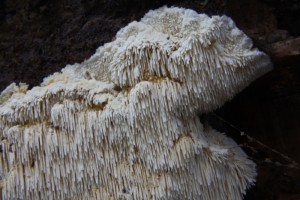IMG_0104.jpg