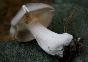 IMG_0146.JPG