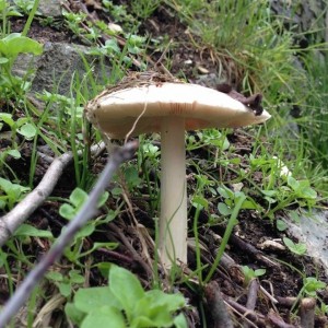 IMG_0171.jpg