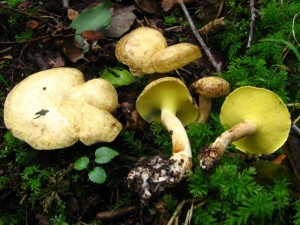 IMG_0468.jpg