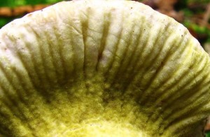 IMG_0469.jpg