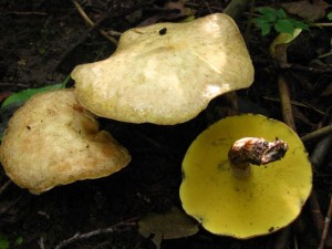 IMG_0470.jpg
