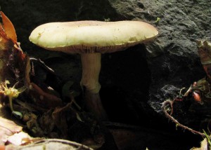 IMG_0494_200.jpg