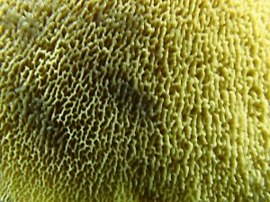 IMG_1259.jpg