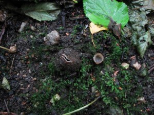 IMG_1368.JPG