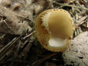 IMG_1423.jpg