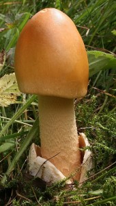 IMG_1576.jpg