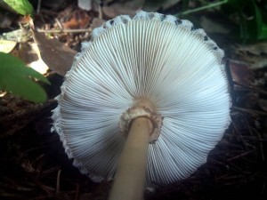 IMG_20160629_092127.jpg