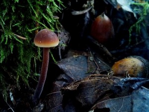 IMG_20161012_111721.jpg