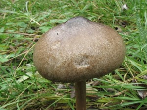 IMG_2326.JPG