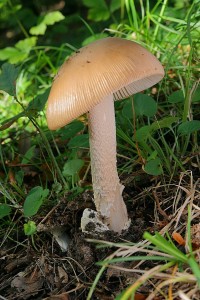 IMG_2463.jpg