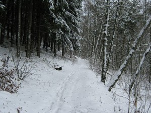 IMG_2577.jpg