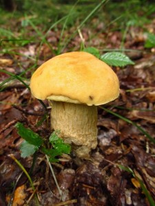 IMG_2689.JPG
